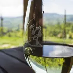 Vinitaly 2026, il Veneto si presenta con una vendemmia solida