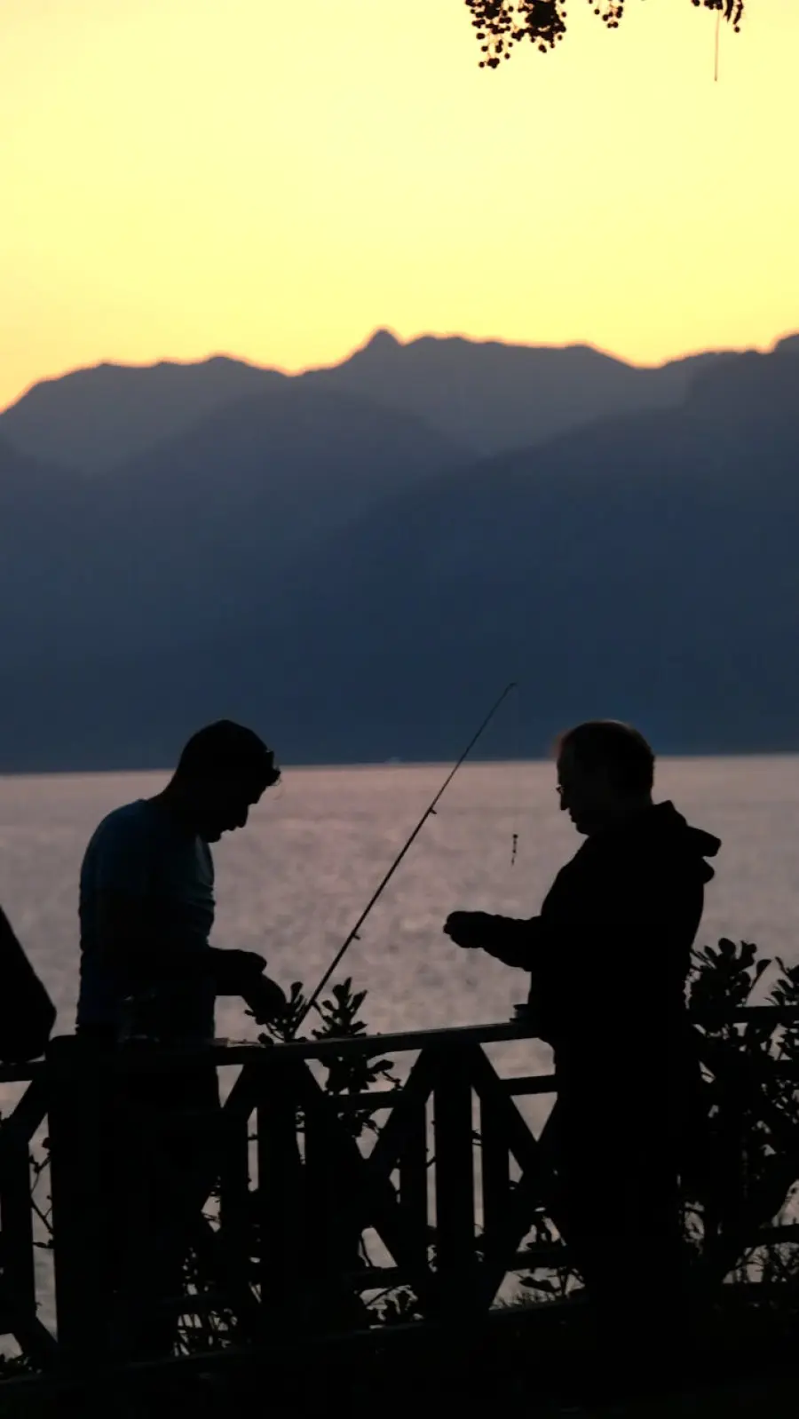 Lago di Garda, nasce la Consulta della Pesca: focus su specie invasive e gestione sostenibile