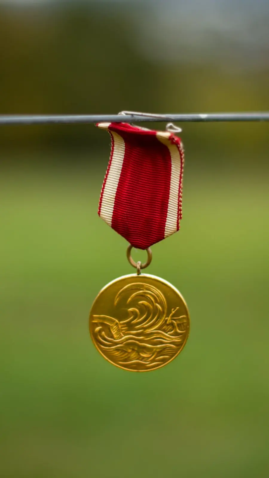 Rovigo, studente vince Olimpiadi di Italiano 2026