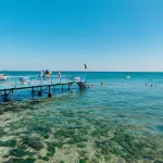 Blue Economy, il Veneto punta su mare e logistica