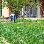 Cavallino Treporti, confronto su agricoltura e turismo