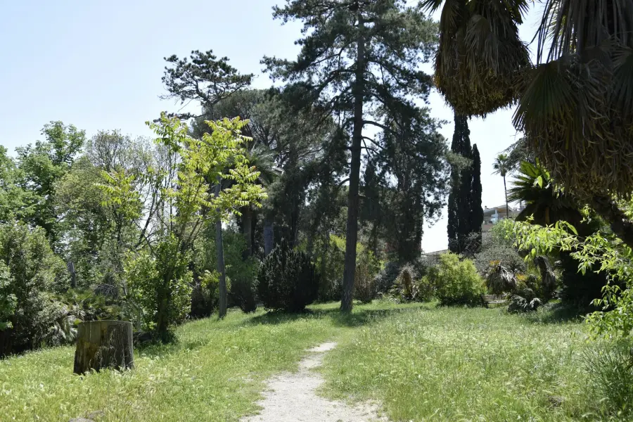 Padova, 100 mila euro per l’Orto Botanico UNESCO