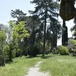 Padova, 100 mila euro per l’Orto Botanico UNESCO