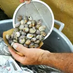 Carlo Petrini morto, il Veneto ricorda il fondatore di Slow Food