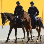 Veneto, Stefani celebra i 212 anni dei Carabinieri