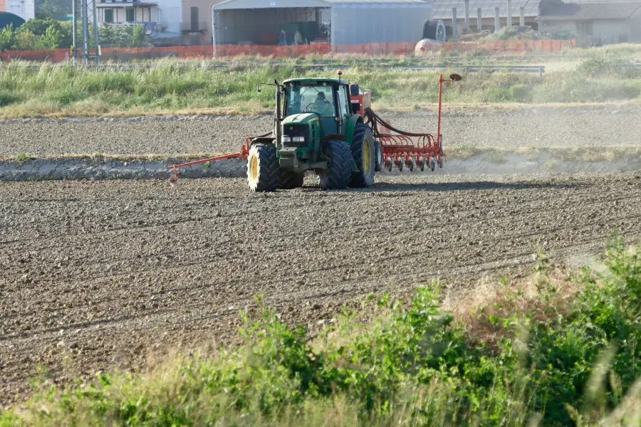 Verona, 2 milioni alle aziende agricole colpite dal vento