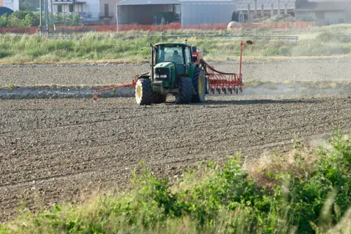 Verona, 2 milioni alle aziende agricole colpite dal vento