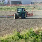 Verona, 2 milioni alle aziende agricole colpite dal vento