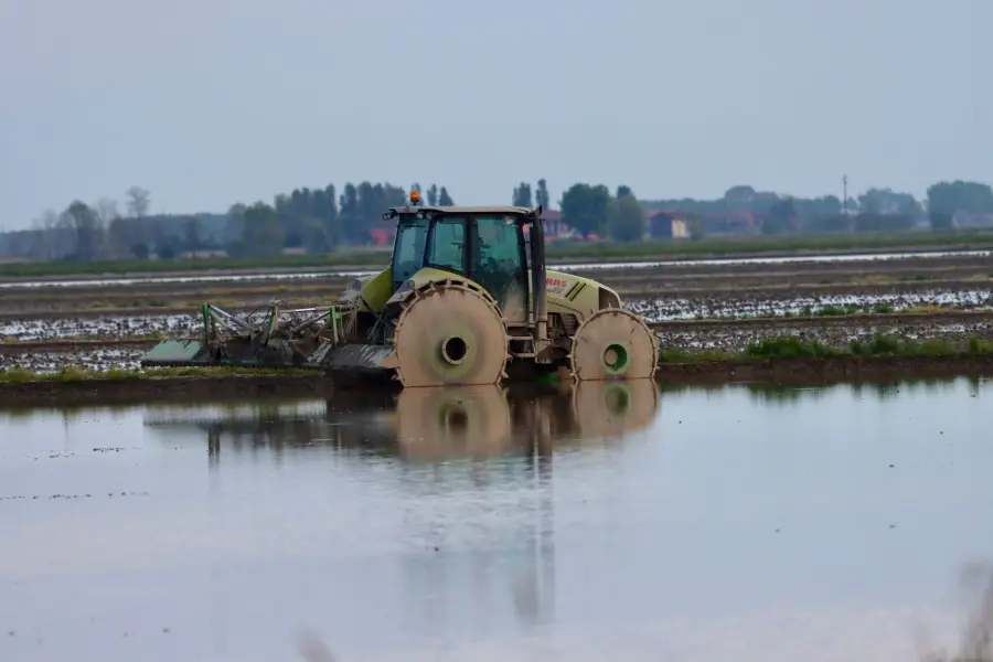 Maltempo nel Veronese, 2 milioni per le aziende agricole