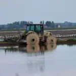 Maltempo nel Veronese, 2 milioni per le aziende agricole