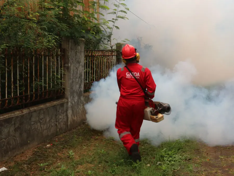 Dengue a Verona, disinfestazione in cinque vie fino al 1° agosto