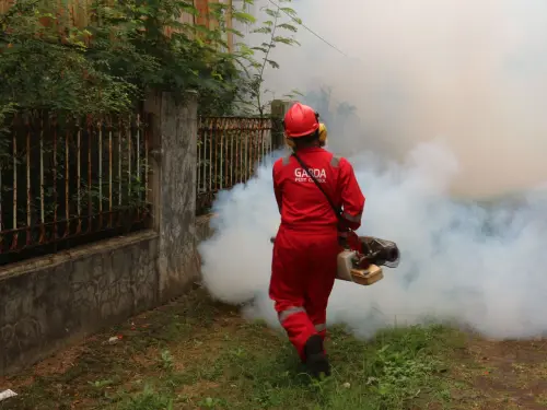 Dengue a Verona, disinfestazione in cinque vie fino al 1° agosto