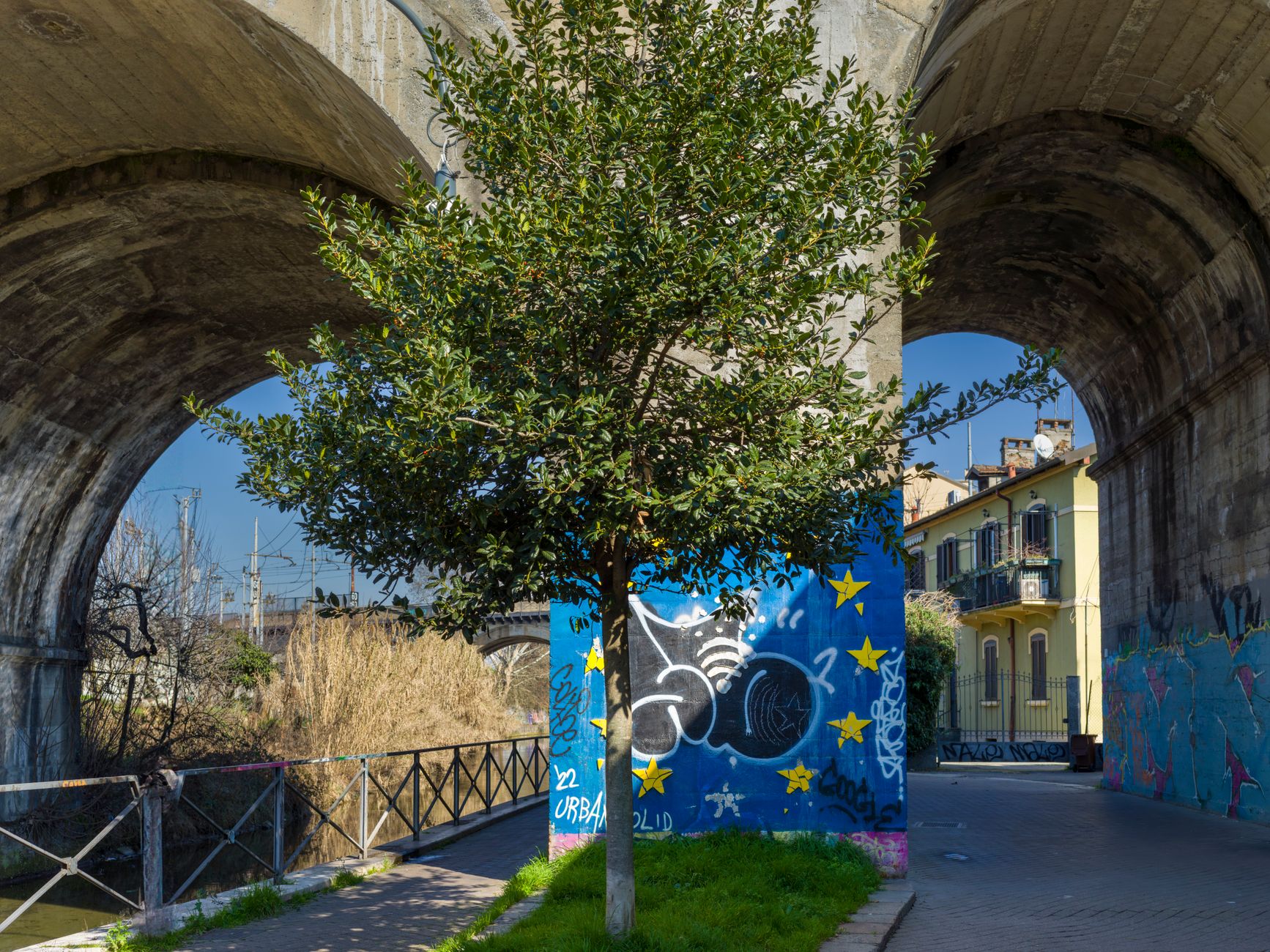 Vicenza, oltre 2.700 alberi prenotati: campagna chiusa in anticipo