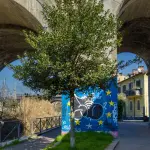 Vicenza, oltre 2.700 alberi prenotati: campagna chiusa in anticipo