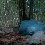 Verona, stretta contro l’abbandono dei rifiuti: multe fino a 3mila euro e controlli con telecamere